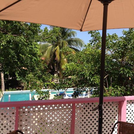 Hummingbirds Cabins Caye Caulker Oda fotoğraf