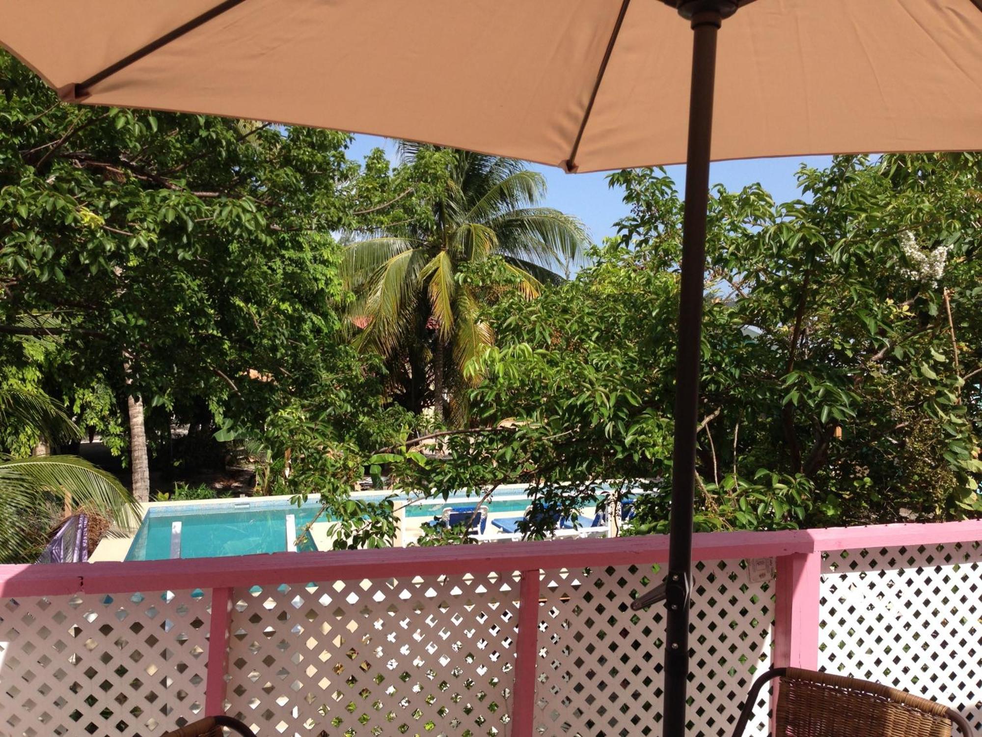 Hummingbirds Cabins Caye Caulker Oda fotoğraf